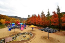 금강자연휴양림캠핑장 레저스포츠 정보와 주변 관광 명소 및 근처 맛집 여행 정보