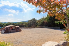 비손관광농원 야영장 레저스포츠 정보와 주변 관광 명소 및 근처 맛집 여행 정보