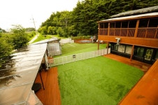 파인힐 애견펜션 숙박 정보와 주변 관광 명소 및 근처 맛집 여행 정보