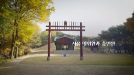 동대문구 문화재야행 월하홍릉 최신 축제 공연 행사 정보와 주변 관광 명소 및 근처 맛집 여행 정보