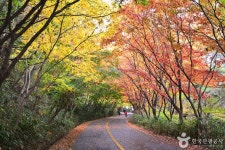 원효사(광주) 관광 정보와 주변 관광 명소 및 근처 맛집 여행 정보