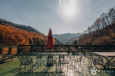 평창문화관광 > 음식 / 숙박 / 쇼핑 > 잘래요 평창문화관광  > 음식 / 숙박 / 쇼핑 > 잘래요