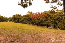 쇼메 신세계대구 - 주변 여행 및 근처 관광 명소 - 국내 여행 정보와 관광 명소 정보