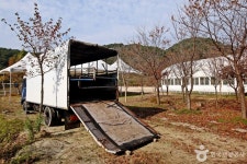 천등산승마클럽 레저스포츠 정보와 주변 관광 명소 및 근처 맛집 여행 정보