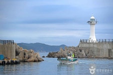 초곡항 관광 정보와 주변 관광 명소 및 근처 맛집 여행 정보