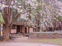 남이섬 관광 정보와 주변 관광 명소 및 근처 맛집 여행 정보