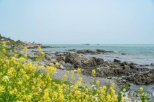 [해파랑길] 8코스 레저스포츠 정보와 주변 관광 명소 및 근처 맛집 여행 정보