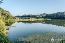 카페 엔소파 - 주변 여행 및 근처 관광 명소 - 국내 여행 정보와 관광 명소 정보