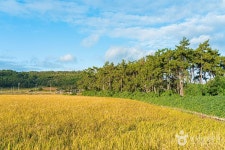 송평마을 관광 정보와 주변 관광 명소 및 근처 맛집 여행 정보