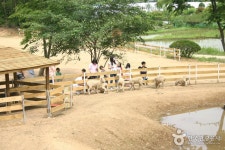 Ilyeong Herbland (일영허브랜드) - Tourisme - Voyage Corée et information touristique