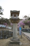 大伽倻博物館（대가야박물관） - 文化 - 韓国旅行・観光情報