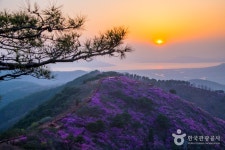 Goryeosan Mountain (고려산) - Sightseeing - Korea travel and tourism information