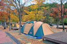 당항포오토캠핑장 레저스포츠 정보와 주변 관광 명소 및 근처 맛집 여행 정보