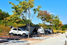 땡큐 - 주변 여행 및 근처 관광 명소 - 국내 여행 정보와 관광 명소 정보