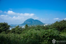건강과 성 박물관(제주) - 주변 여행 및 근처 관광 명소 - 국내 여행 정보와 관광 명소 정보