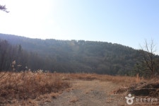 솔개해수욕장 - 주변 여행 및 근처 관광 명소 - 국내 여행 정보와 관광 명소 정보