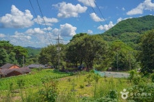 다옴농촌체험휴양마을 관광 정보와 주변 관광 명소 및 근처 맛집 여행 정보