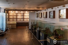 파주나비나라박물관 문화 정보와 주변 관광 명소 및 근처 맛집 여행 정보