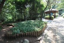 대모산도시자연공원 관광 정보와 주변 관광 명소 및 근처 맛집 여행 정보