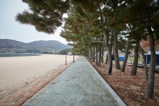Sangju Silver Sand Beach (상주 은모래비치) - Sightseeing - Korea travel and tourism information