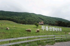 한천자연휴양림 - 여행정보 |