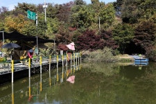 하마캠핑장 레저스포츠 정보와 주변 관광 명소 및 근처 맛집 여행 정보