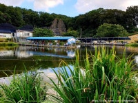 새미낚시터 레저스포츠 정보와 주변 관광 명소 및 근처 맛집 여행 정보