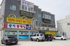 엘도라도펜션 - 주변 여행 및 근처 관광 명소 - 국내 여행 정보와 관광 명소 정보