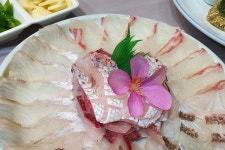 요리사횟집 음식점 정보와 주변 관광 명소 및 근처 맛집 여행 정보