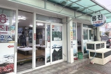 동백꽃식당 - 주변 여행 및 근처 관광 명소 - 국내 여행 정보와 관광 명소 정보