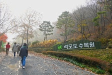Seongmodo Island Arboretum (석모도 수목원) - Sightseeing - Korea travel and tourism information