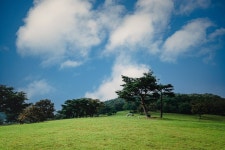 화랑의언덕 관광 정보와 주변 관광 명소 및 근처 맛집 여행 정보