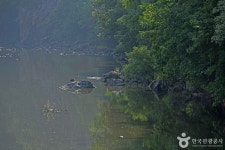 작천계곡 관광 정보와 주변 관광 명소 및 근처 맛집 여행 정보