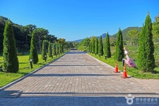 보은산V랜드 관광 정보와 주변 관광 명소 및 근처 맛집 여행 정보