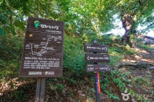 파주 산머루마을 - 주변 여행 및 근처 관광 명소 - 국내 여행 정보와 관광 명소 정보