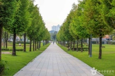 안성맞춤가족공원 관광 정보와 주변 관광 명소 및 근처 맛집 여행 정보
