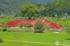 강변저류지 관광 정보와 주변 관광 명소 및 근처 맛집 여행 정보