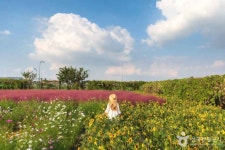 바람새마을 관광 정보와 주변 관광 명소 및 근처 맛집 여행 정보