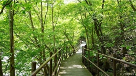 뱀사골계곡 관광 정보와 주변 관광 명소 및 근처 맛집 여행 정보