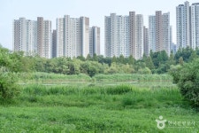 배다리생태공원 관광 정보와 주변 관광 명소 및 근처 맛집 여행 정보