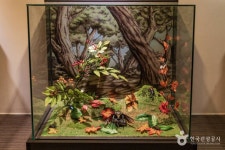 파주나비나라박물관 문화 정보와 주변 관광 명소 및 근처 맛집 여행 정보