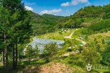 한국차문화공원 관광 정보와 주변 관광 명소 및 근처 맛집 여행 정보