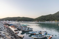 삼덕항 - 주변 여행 및 근처 관광 명소 - 국내 여행 정보와 관광 명소 정보
