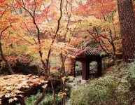 대원군별장(석파정) 관광 정보와 주변 관광 명소 및 근처 맛집 여행 정보