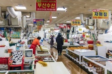 동광어시장 쇼핑 정보와 주변 관광 명소 및 근처 맛집 여행 정보