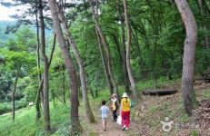 고령에서 만나는 대가야의 눈부신 자취> 여행기사 | 열린 관광 모두의 여행:대한민국 구석구석