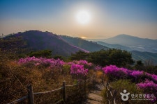 Goryeosan Mountain (고려산) - Sightseeing - Korea travel and tourism information