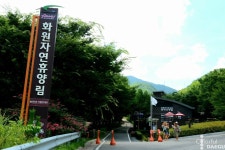 마비정 벽화마을 - 주변 여행 및 근처 관광 명소 - 국내 여행 정보와 관광 명소 정보