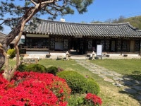 풍산시장(3, 8일) - 주변 여행 및 근처 관광 명소 - 국내 여행 정보와 관광 명소 정보