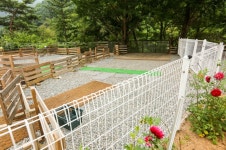 미산분교 캠핑장 레저스포츠 정보와 주변 관광 명소 및 근처 맛집 여행 정보